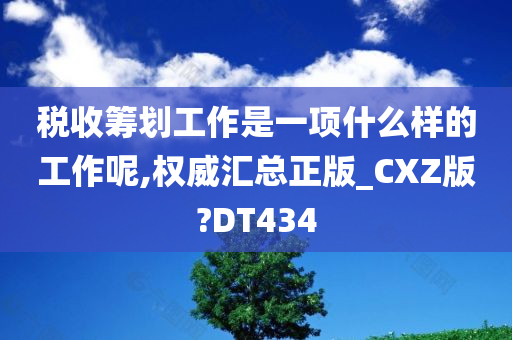 税收筹划工作是一项什么样的工作呢,权威汇总正版_CXZ版?DT434