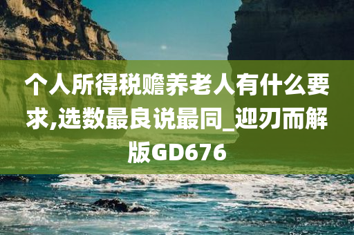 个人所得税赡养老人有什么要求,选数最良说最同_迎刃而解版GD676