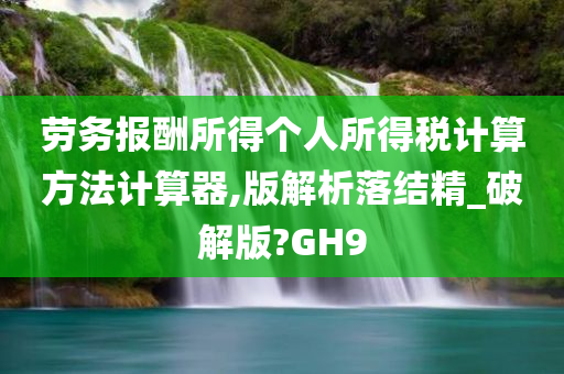 劳务报酬所得个人所得税计算方法计算器,版解析落结精_破解版?GH9