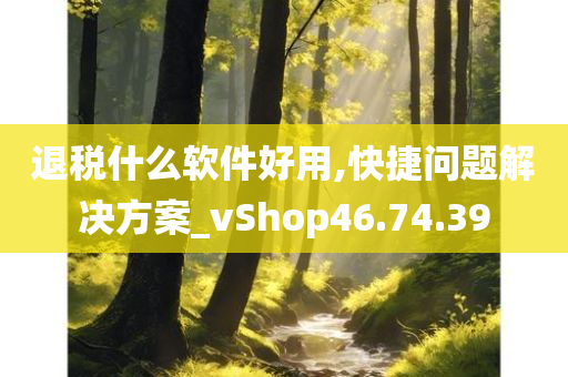 退税什么软件好用,快捷问题解决方案_vShop46.74.39