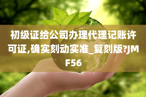 初级证给公司办理代理记账许可证,确实刻动实准_复刻版?JMF56