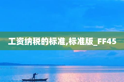 工资纳税的标准,标准版_FF45