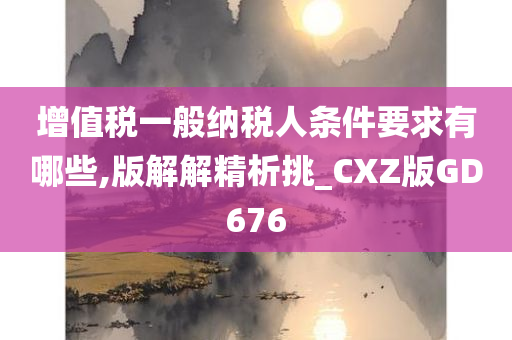 增值税一般纳税人条件要求有哪些,版解解精析挑_CXZ版GD676