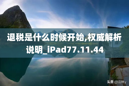 退税是什么时候开始,权威解析说明_iPad77.11.44