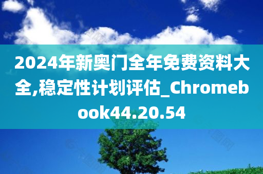 2024年新奥门全年免费资料大全,稳定性计划评估_Chromebook44.20.54