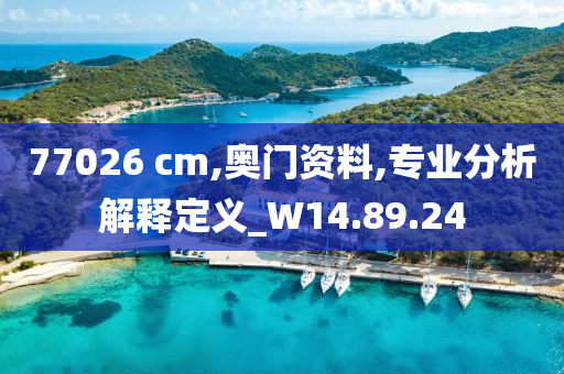 77026 cm,奥门资料,专业分析解释定义_W14.89.24