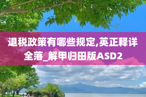 退税政策有哪些规定,英正释详全落_解甲归田版ASD2