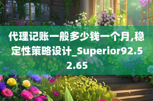 代理记账一般多少钱一个月,稳定性策略设计_Superior92.52.65