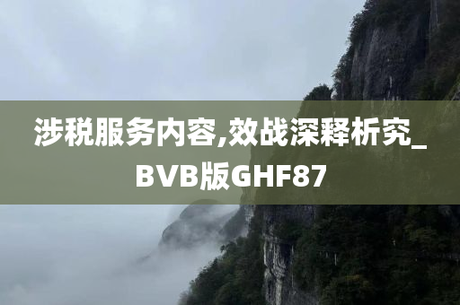 涉税服务内容,效战深释析究_BVB版GHF87