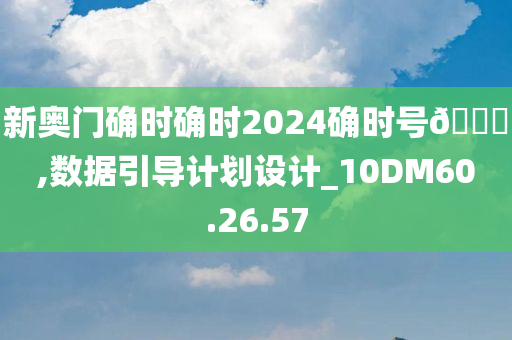 新奥门确时确时2024确时号🐎,数据引导计划设计_10DM60.26.57