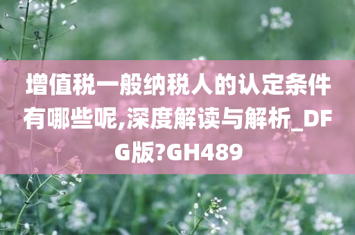 增值税一般纳税人的认定条件有哪些呢,深度解读与解析_DFG版?GH489