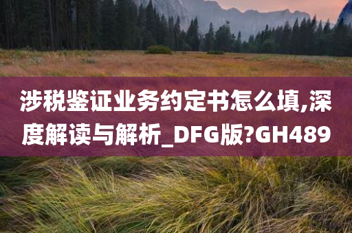 涉税鉴证业务约定书怎么填,深度解读与解析_DFG版?GH489