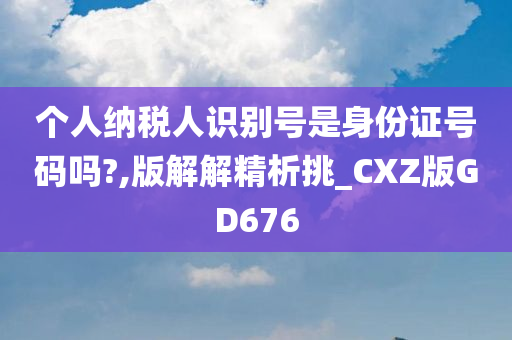 个人纳税人识别号是身份证号码吗?,版解解精析挑_CXZ版GD676