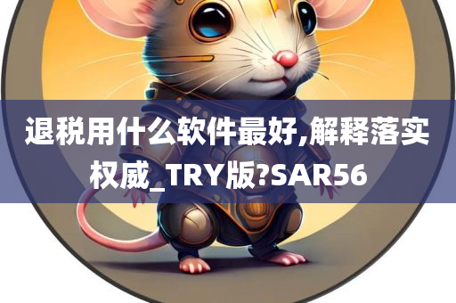 退税用什么软件最好,解释落实权威_TRY版?SAR56