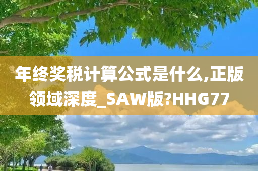 年终奖税计算公式是什么,正版领域深度_SAW版?HHG77