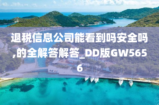 退税信息公司能看到吗安全吗,的全解答解答_DD版GW5656