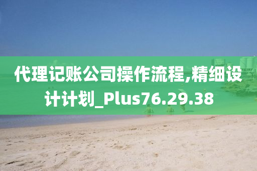 代理记账公司操作流程,精细设计计划_Plus76.29.38