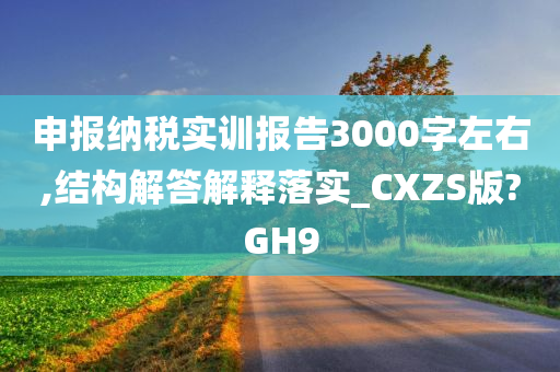 申报纳税实训报告3000字左右,结构解答解释落实_CXZS版?GH9