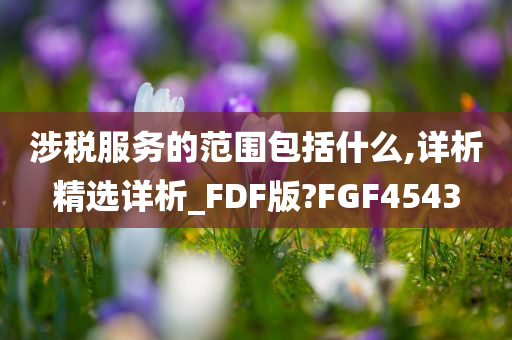 涉税服务的范围包括什么,详析精选详析_FDF版?FGF4543