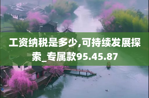 工资纳税是多少,可持续发展探索_专属款95.45.87