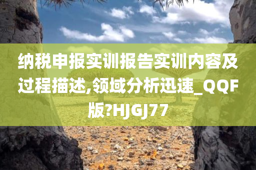 纳税申报实训报告实训内容及过程描述,领域分析迅速_QQF版?HJGJ77