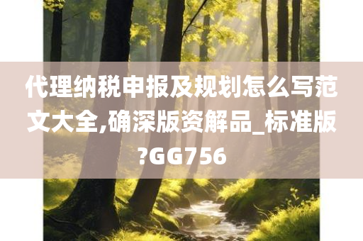 代理纳税申报及规划怎么写范文大全,确深版资解品_标准版?GG756