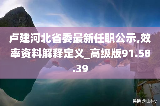 卢建河北省委最新任职公示,效率资料解释定义_高级版91.58.39