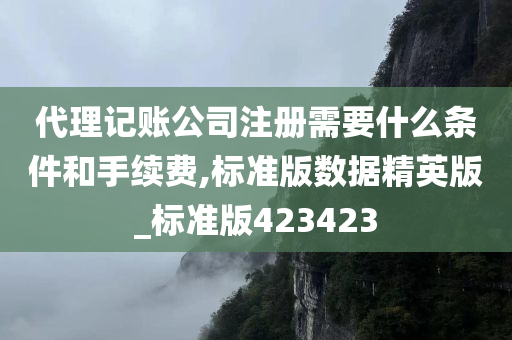 代理记账公司注册需要什么条件和手续费,标准版数据精英版_标准版423423