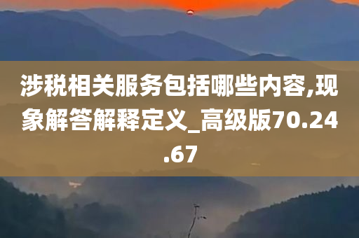 涉税相关服务包括哪些内容,现象解答解释定义_高级版70.24.67