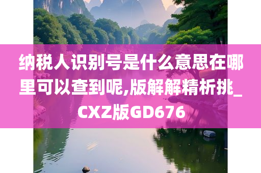 纳税人识别号是什么意思在哪里可以查到呢,版解解精析挑_CXZ版GD676