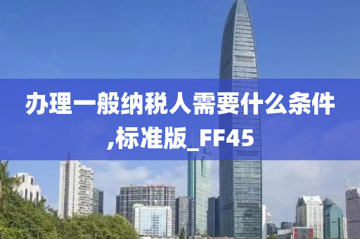 办理一般纳税人需要什么条件,标准版_FF45