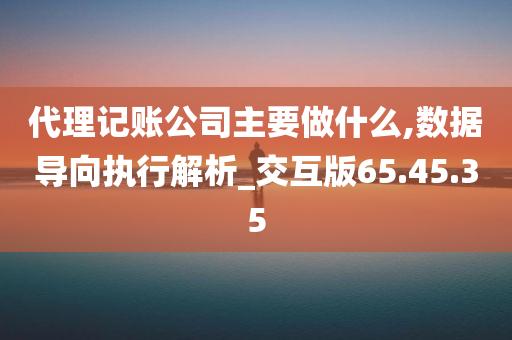 代理记账公司主要做什么,数据导向执行解析_交互版65.45.35