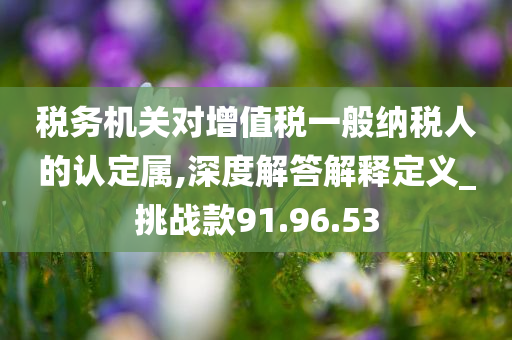 税务机关对增值税一般纳税人的认定属,深度解答解释定义_挑战款91.96.53