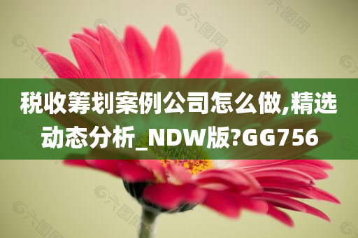 税收筹划案例公司怎么做,精选动态分析_NDW版?GG756