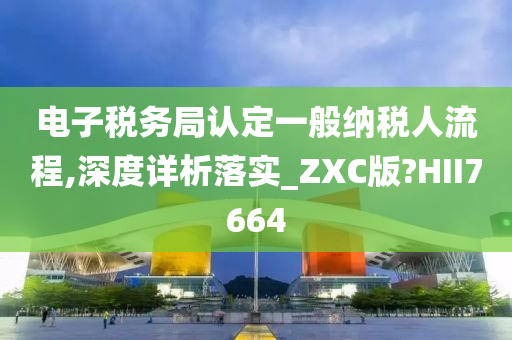 电子税务局认定一般纳税人流程,深度详析落实_ZXC版?HII7664