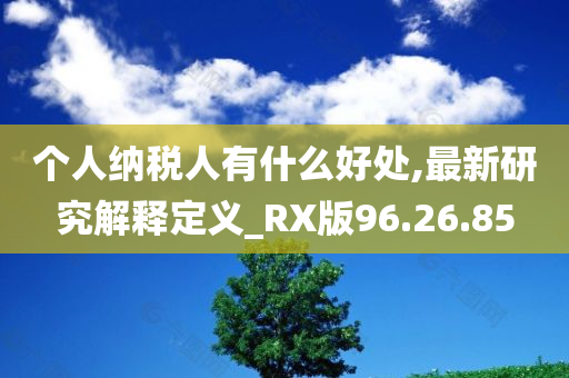 个人纳税人有什么好处,最新研究解释定义_RX版96.26.85