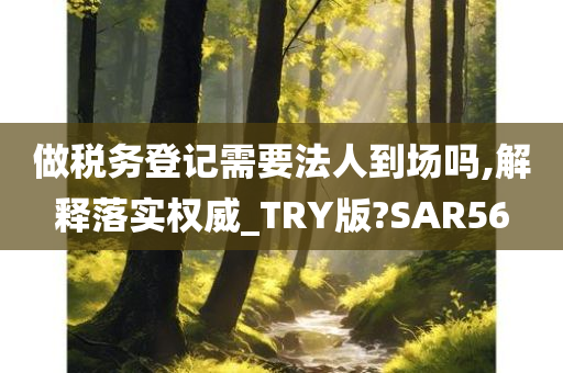 做税务登记需要法人到场吗,解释落实权威_TRY版?SAR56