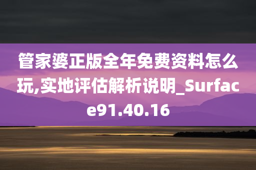 管家婆正版全年免费资料怎么玩,实地评估解析说明_Surface91.40.16