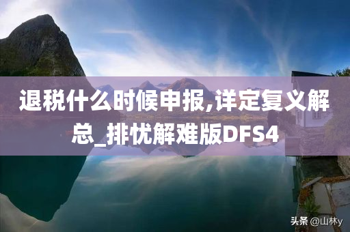 退税什么时候申报,详定复义解总_排忧解难版DFS4