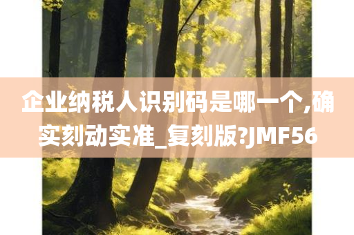 企业纳税人识别码是哪一个,确实刻动实准_复刻版?JMF56