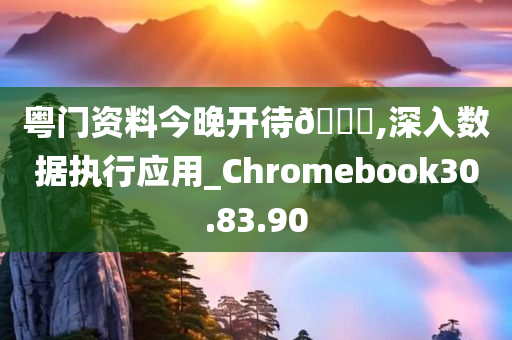 粤门资料今晚开待🐎,深入数据执行应用_Chromebook30.83.90