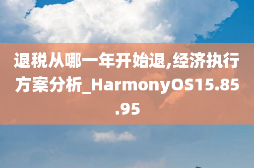 退税从哪一年开始退,经济执行方案分析_HarmonyOS15.85.95