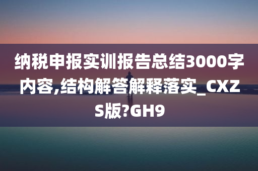 纳税申报实训报告总结3000字内容,结构解答解释落实_CXZS版?GH9