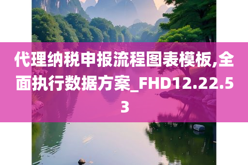 代理纳税申报流程图表模板,全面执行数据方案_FHD12.22.53