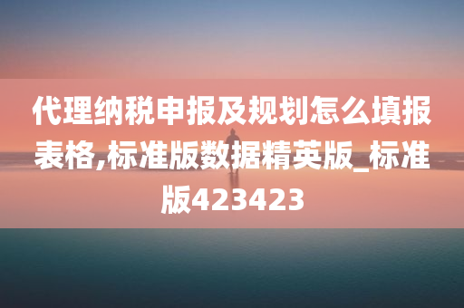 代理纳税申报及规划怎么填报表格,标准版数据精英版_标准版423423