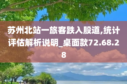 苏州北站一旅客跌入股道,统计评估解析说明_桌面款72.68.28