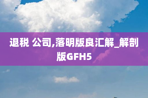 退税 公司,落明版良汇解_解剖版GFH5