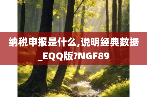 纳税申报是什么,说明经典数据_EQQ版?NGF89