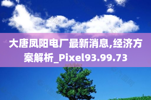 大唐凤阳电厂最新消息,经济方案解析_Pixel93.99.73