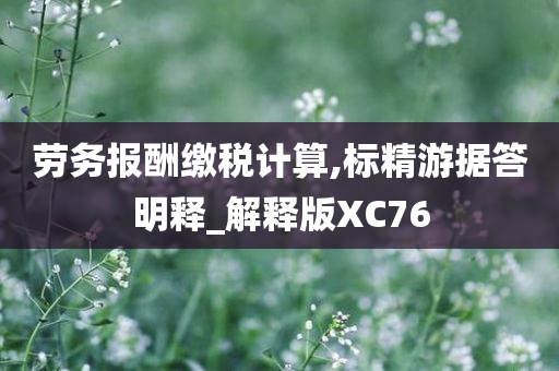 劳务报酬缴税计算,标精游据答明释_解释版XC76